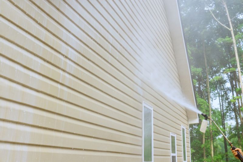 Siding Power Washing detail