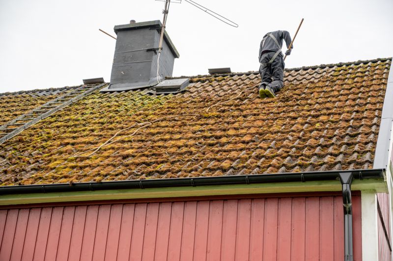 Roof Cleaning Services
