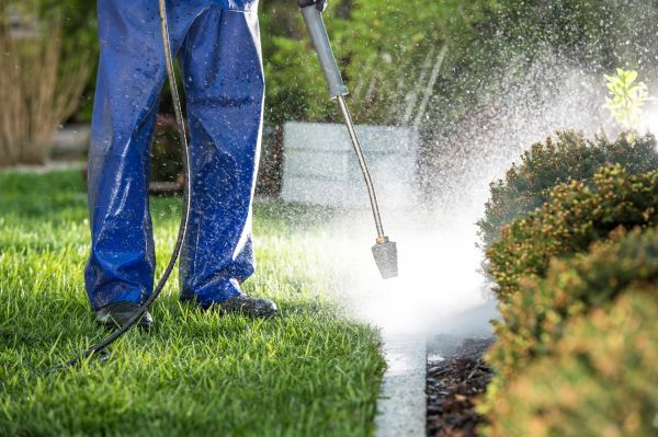 Curb Cleaning in Fort Myers