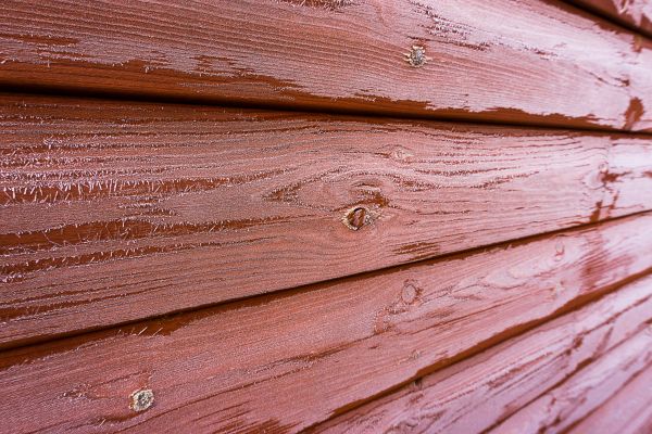 Cedar Siding Cleaning in Fort Myers