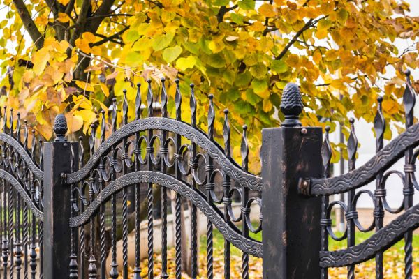 Wrought Iron Fence Washing in Fort Myers