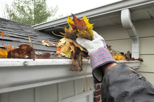 Eaves Cleaning in Fort Myers