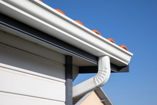 Roofline Cleaning in Fort Myers