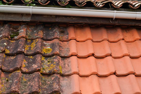 Industrial Roof Cleaning in Fort Myers