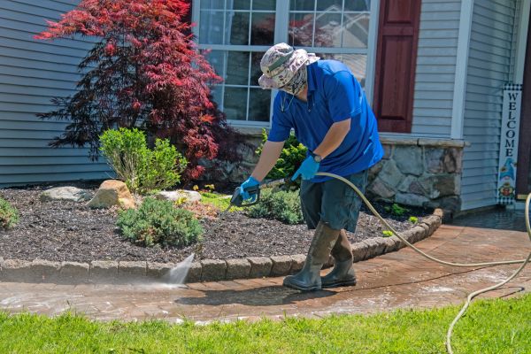 Brick Walkway Cleaning in Fort Myers